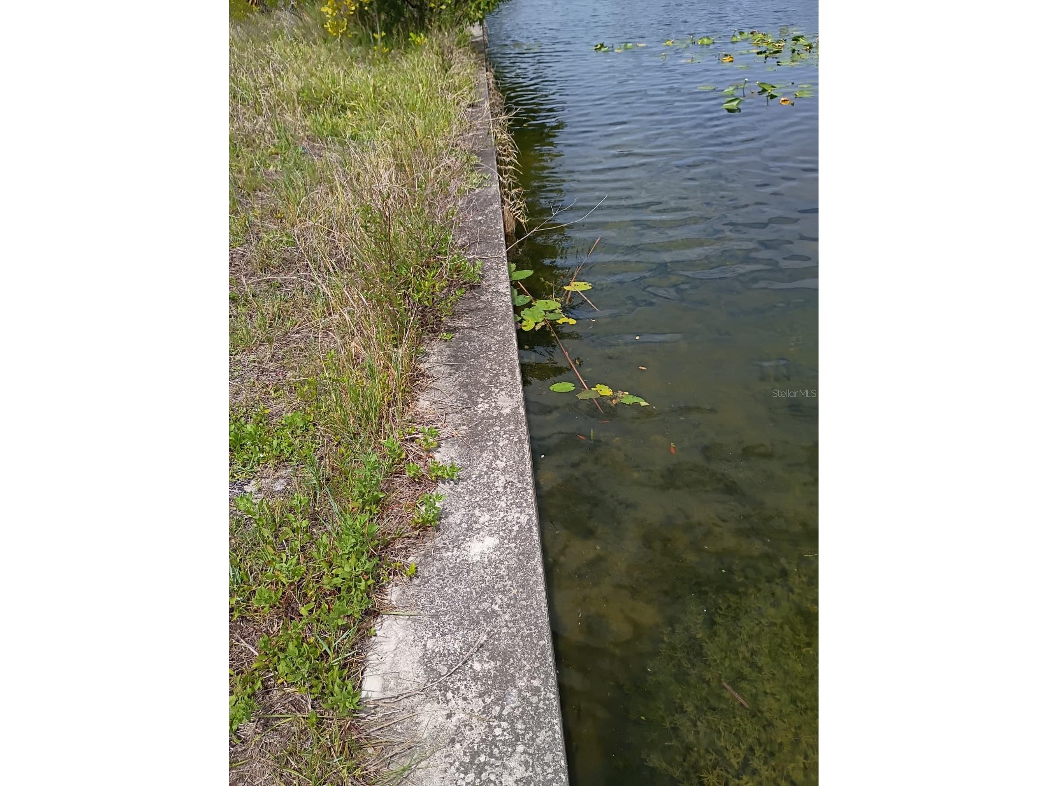 2915 Diplomat Parkway W Cape Coral FL 33993 S5150821 image4