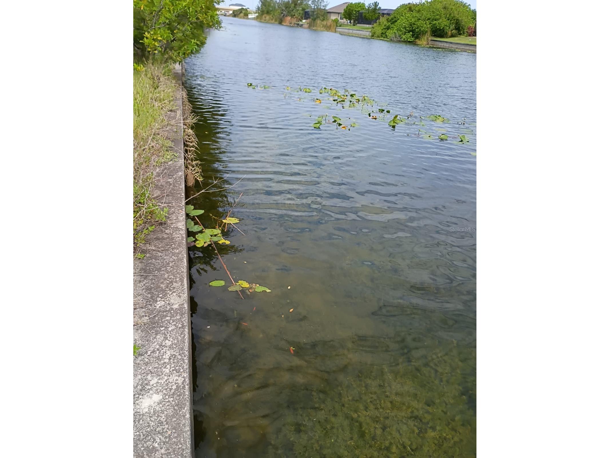 2915 Diplomat Parkway W Cape Coral FL 33993 S5150821 image6