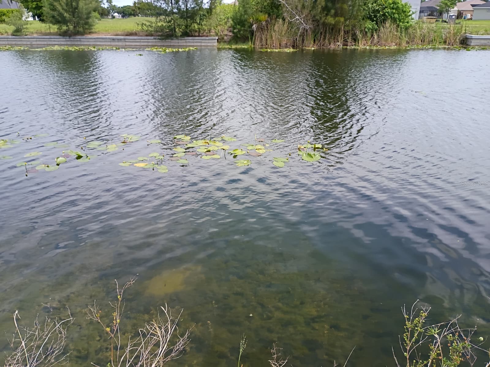 2915 Diplomat Parkway W Cape Coral FL 33993 S5150821 image7