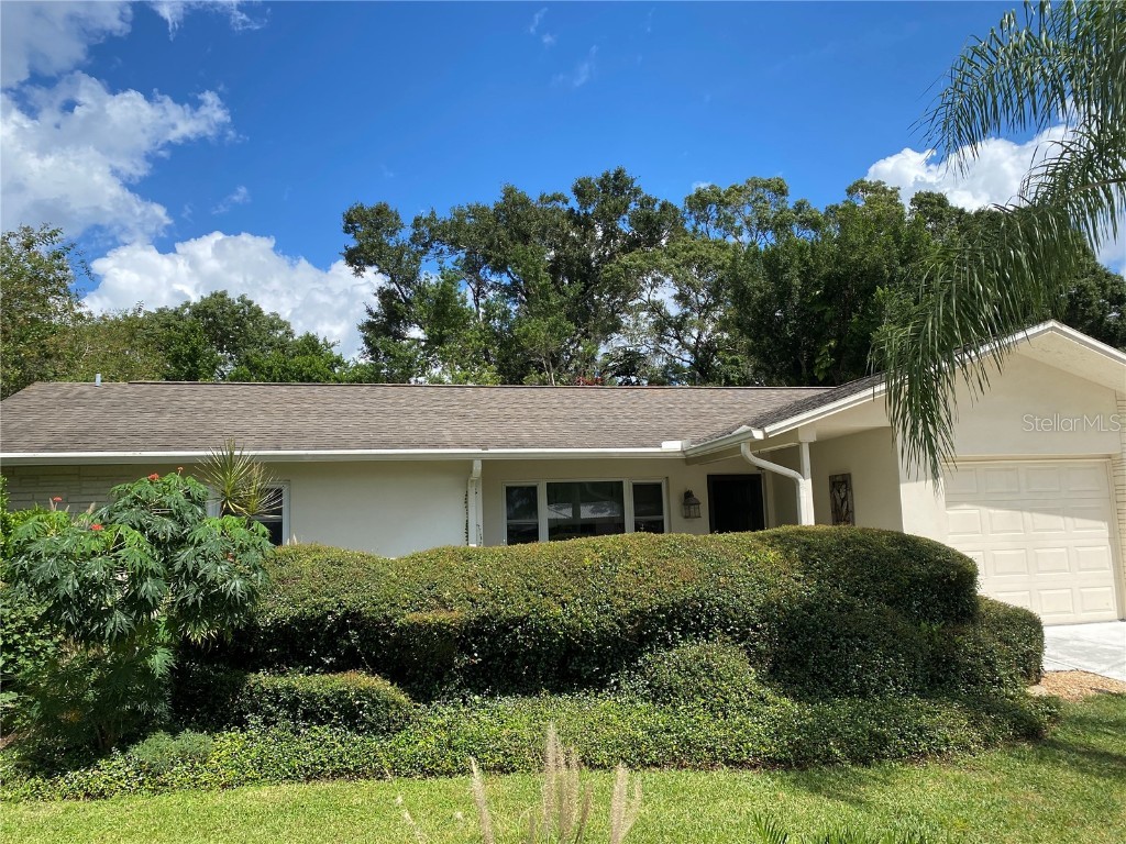 2915 Kenmore Place Palm Harbor FL 34684 U8137404 image1