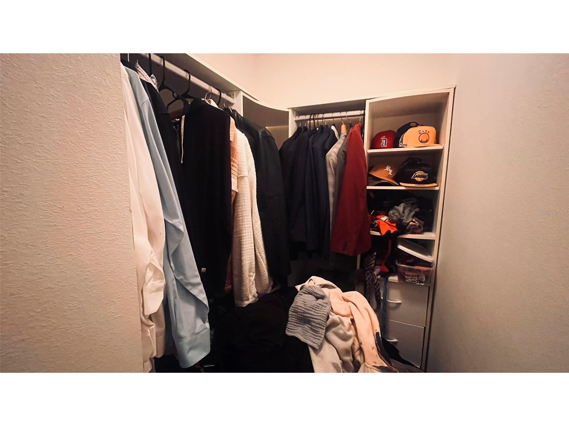 2915 Pointeview Tampa FL 33611 TB8475494 image13