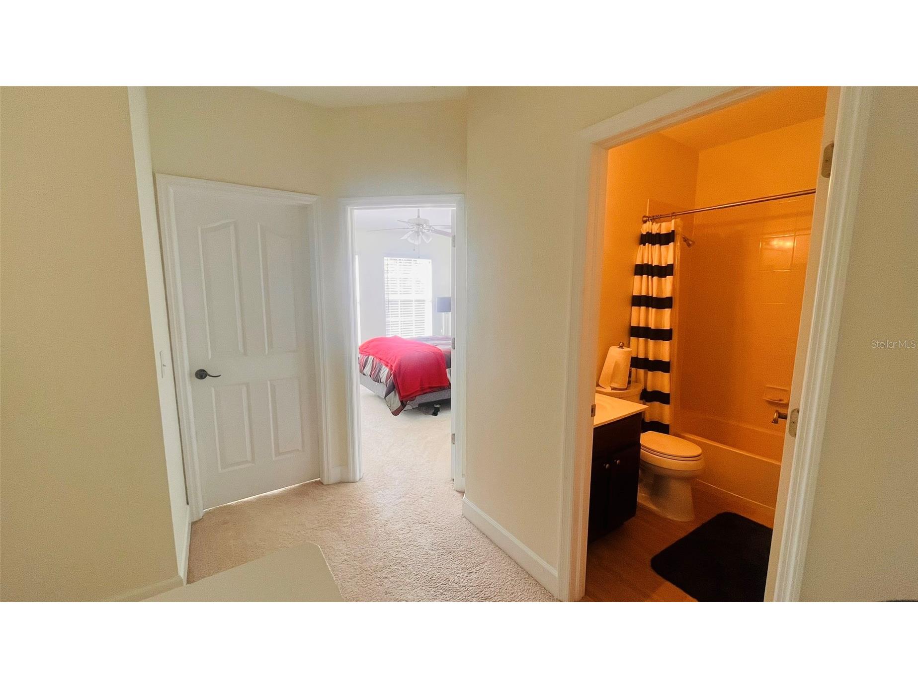 2915 Pointeview Tampa FL 33611 TB8475494 image16