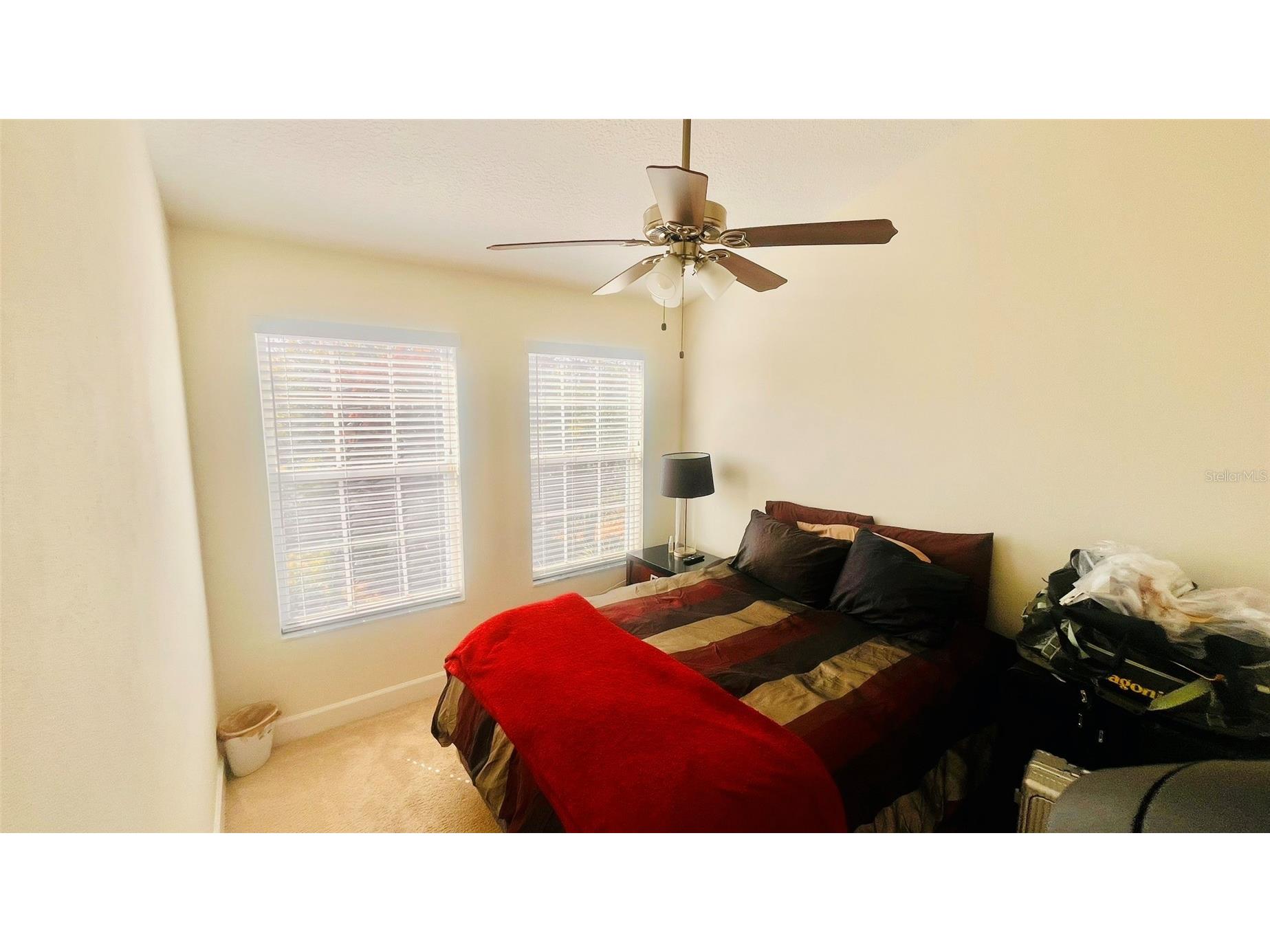 2915 Pointeview Tampa FL 33611 TB8475494 image17