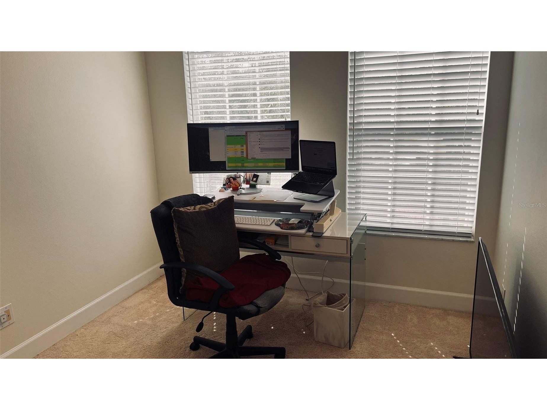 2915 Pointeview Tampa FL 33611 TB8475494 image19