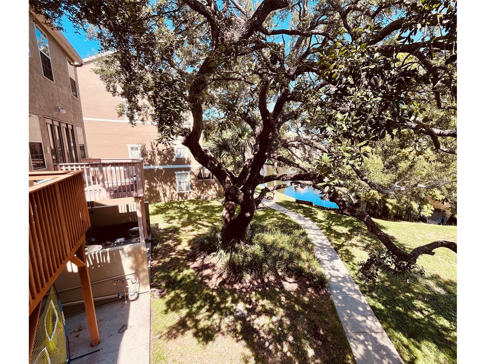 2915 Pointeview Tampa FL 33611 TB8475494 image20