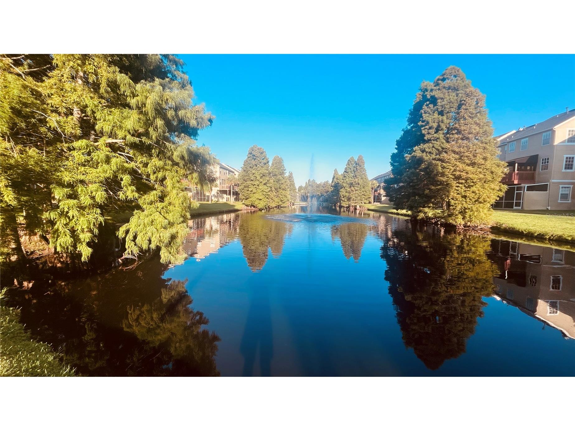 2915 Pointeview Tampa FL 33611 TB8475494 image24