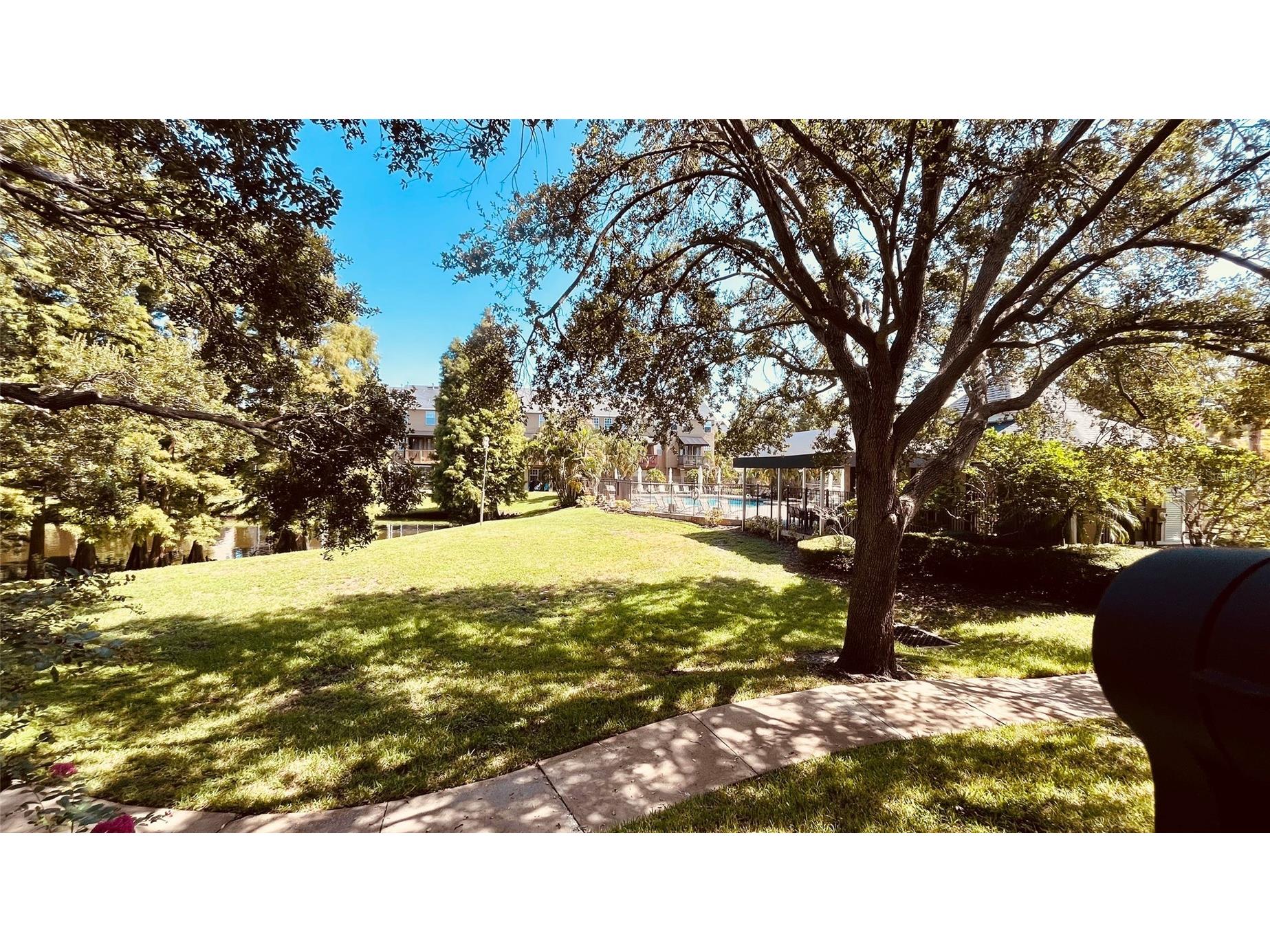 2915 Pointeview Tampa FL 33611 TB8475494 image25