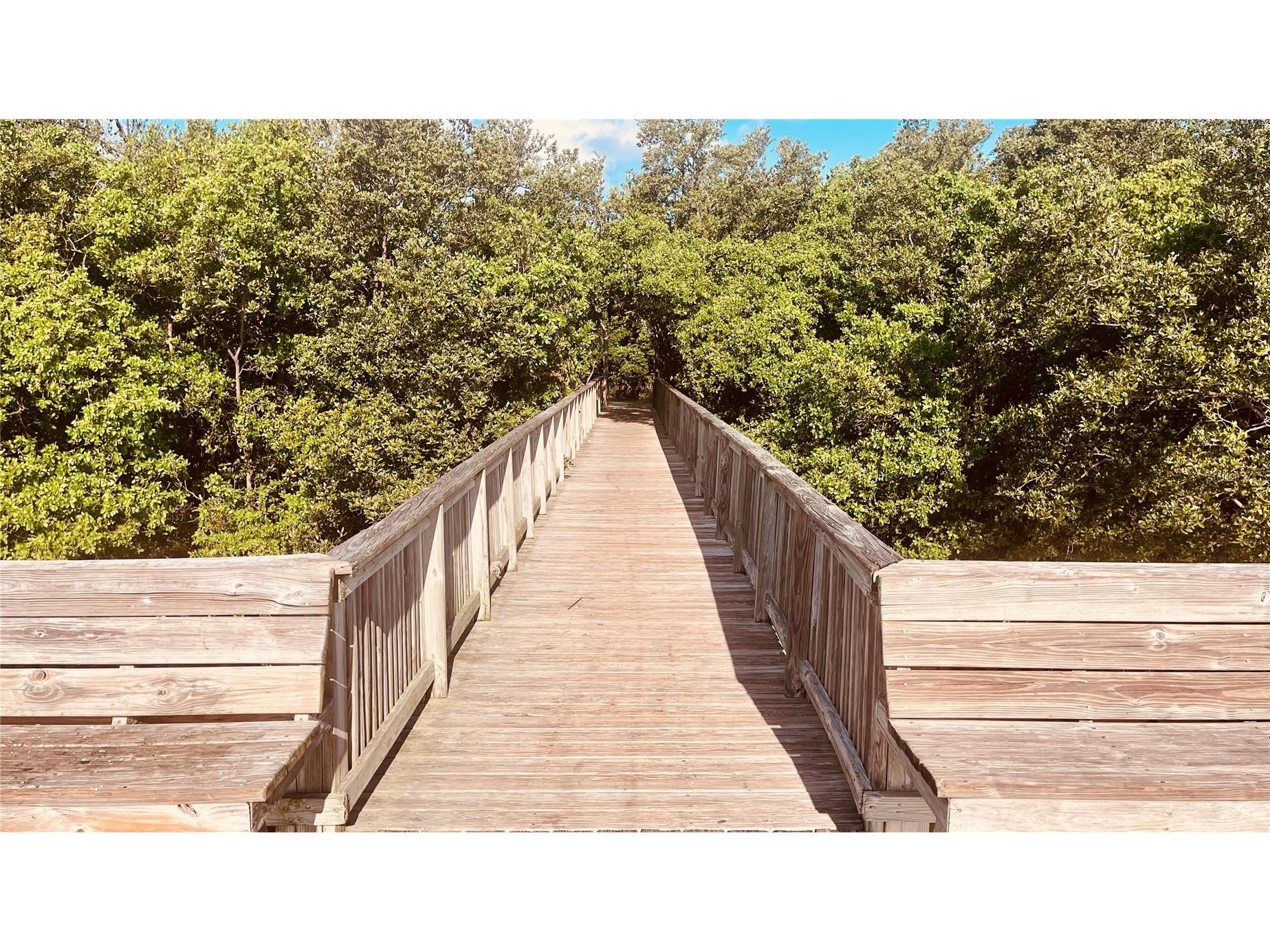 2915 Pointeview Tampa FL 33611 TB8475494 image28