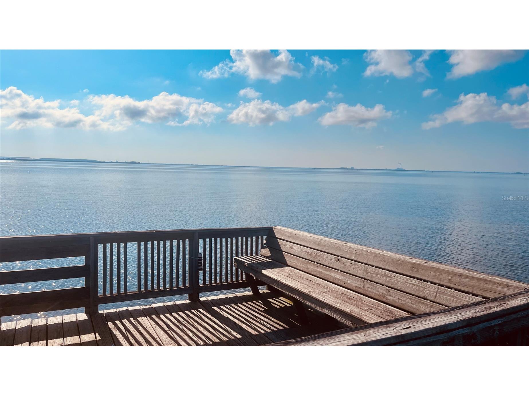 2915 Pointeview Tampa FL 33611 TB8475494 image29