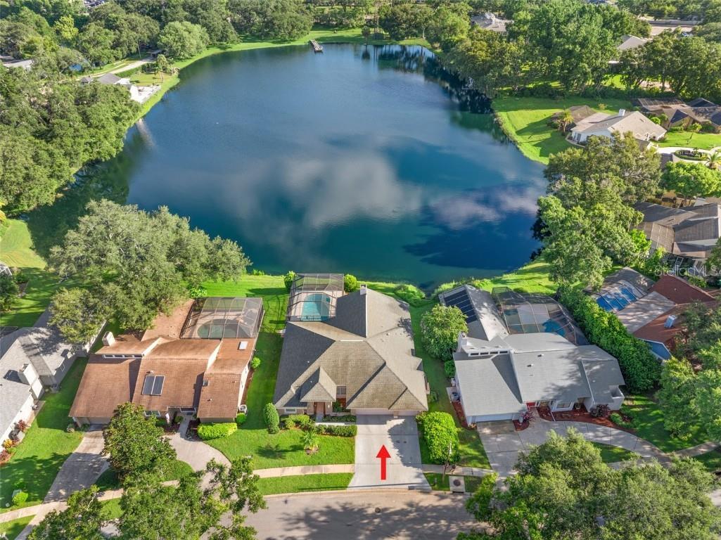 2915 Valencia Lane E Palm Harbor FL 34684 TB8409467 image1