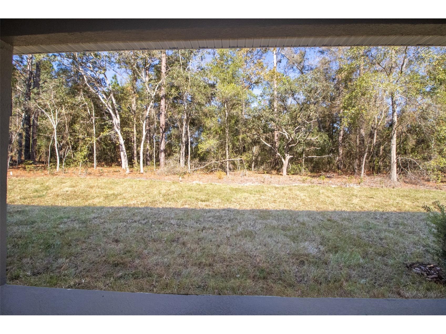 2915 W Goldenrod Drive Beverly Hills FL 34465 W7880608 image33