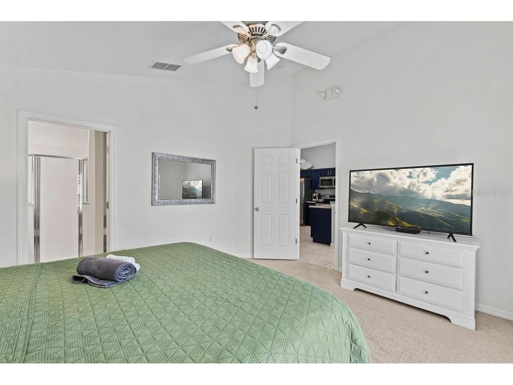 2916 Blooming Alamanda Loop Kissimmee FL 34747 S5148866 image27