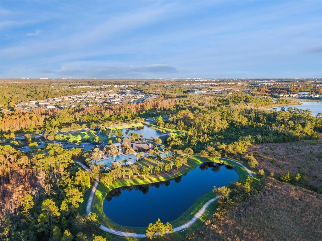 2916 Deerberry Lane Clermont FL 34714 O6363815 image45