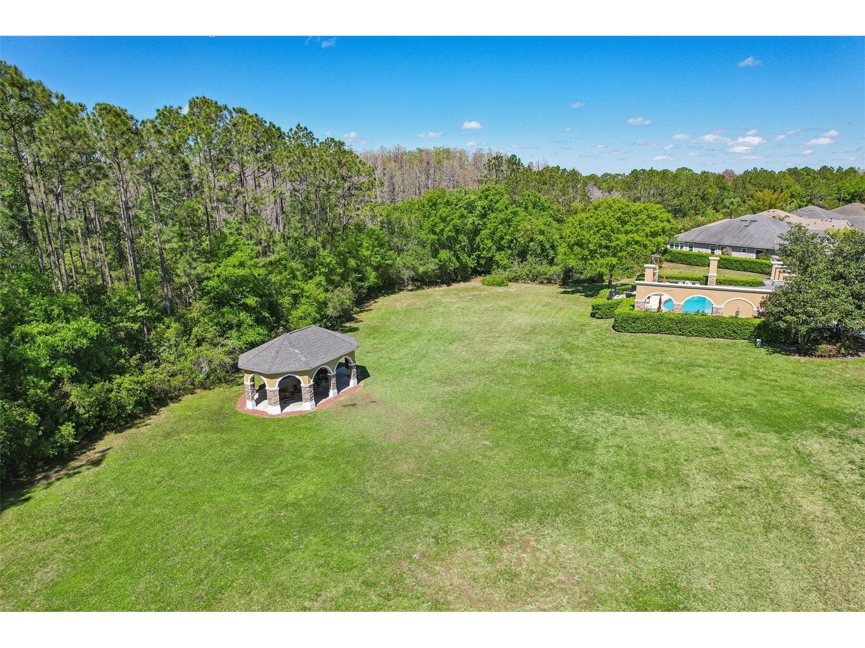 2916 Devonoak Boulevard Land O Lakes FL 34638 TB8479529 image35