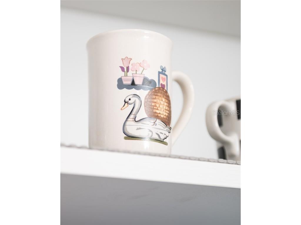 2916 Maplewood Avenue Lakeland FL 33803 L4956435 image22