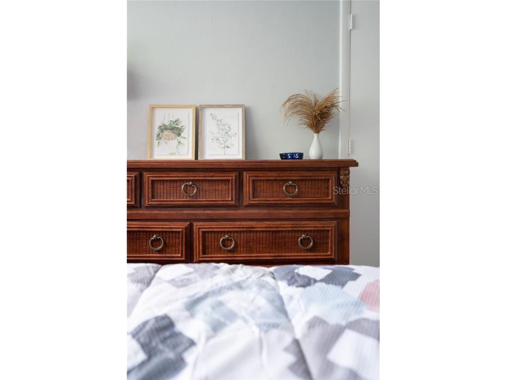 2916 Maplewood Avenue Lakeland FL 33803 L4956435 image30