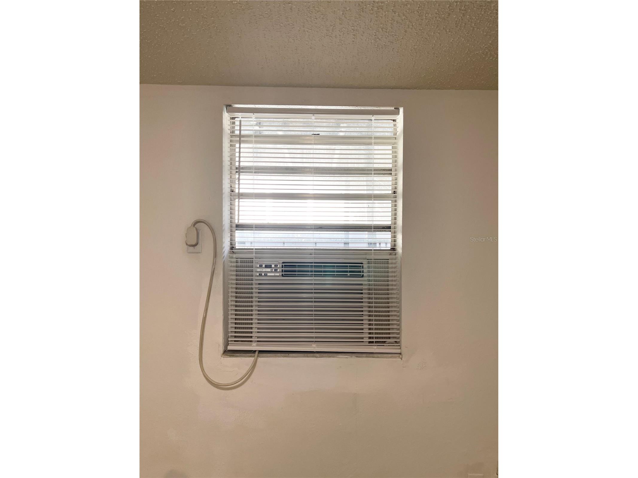 2916 North 16th Street #2 Tampa FL 33605 TB8474507 image15