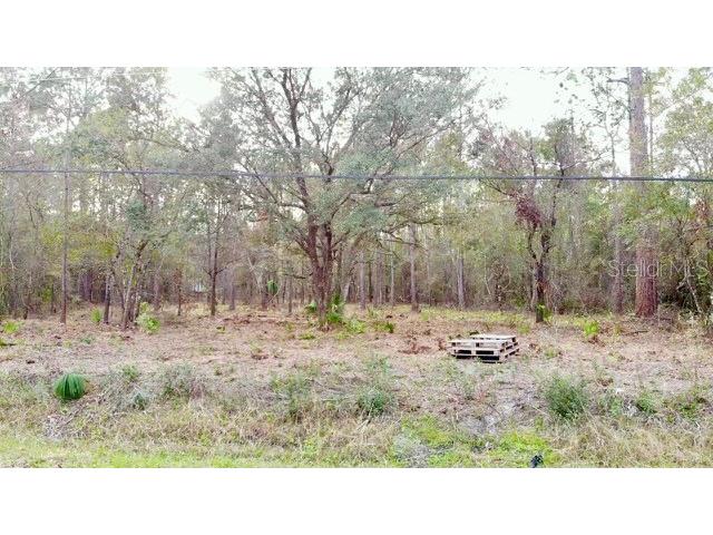 2916 Palm Avenue Bunnell FL 32110 FC307540 image1