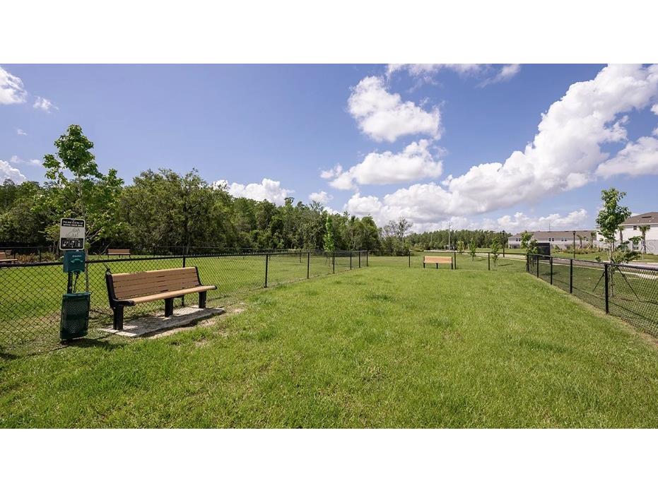 2916 Skyline Loop Kissimmee FL 34758 O6381011 image21