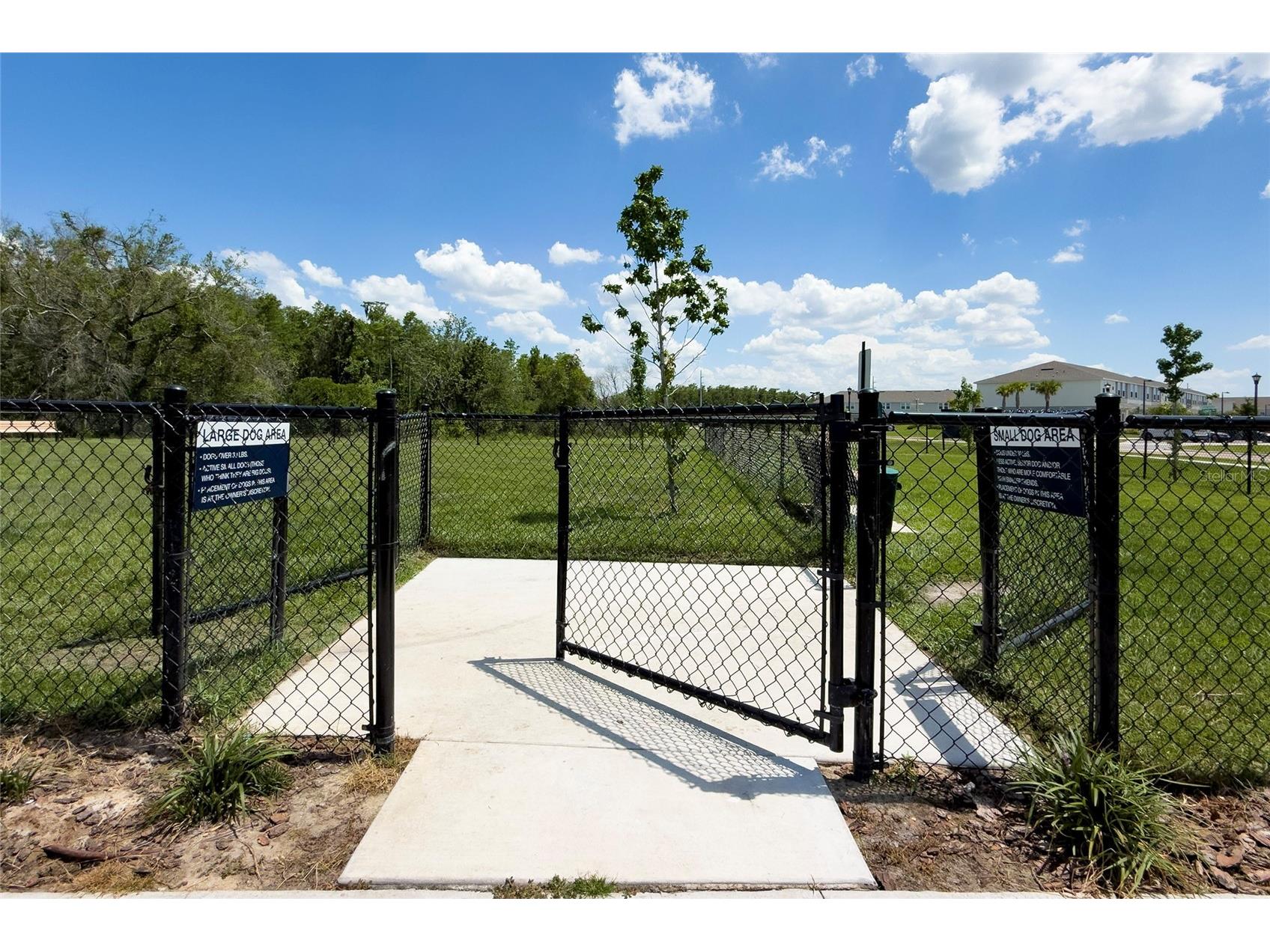 2916 Skyline Loop Kissimmee FL 34758 S5152764 image23
