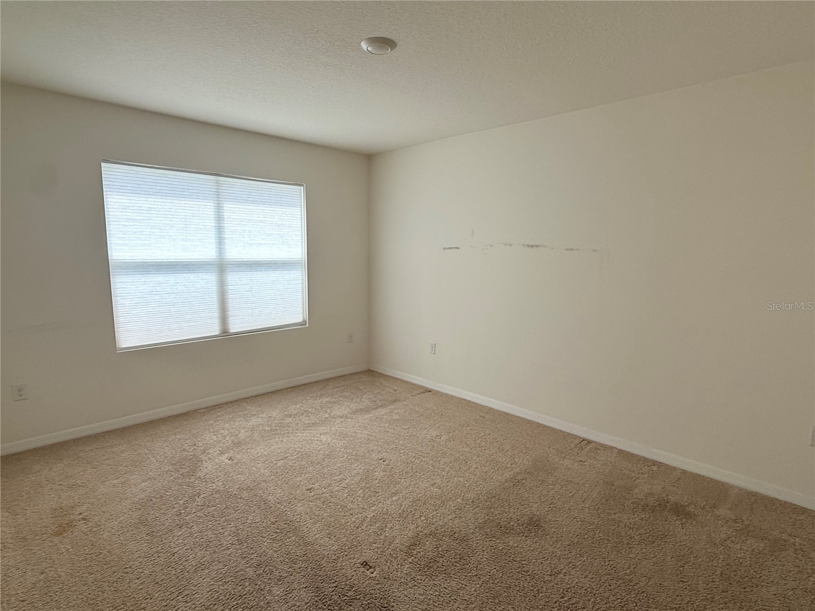 2916 Sunridge Loop Saint Cloud FL 34771 O6414448 image5