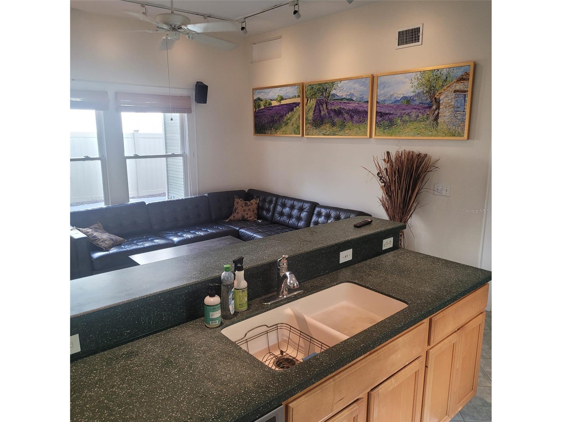 2916 W Bay Court Avenue Tampa FL 33611 TB8518953 image10