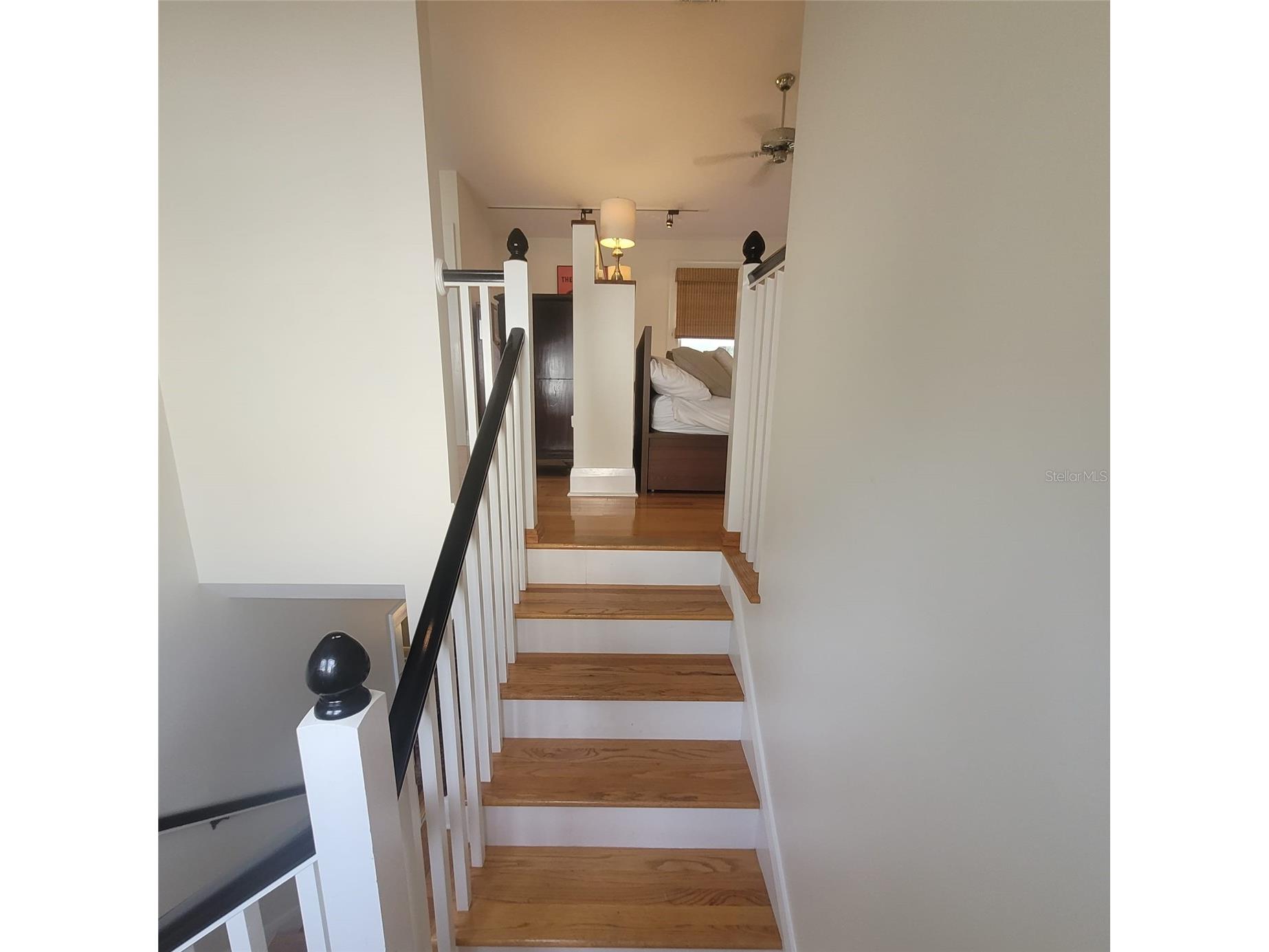 2916 W Bay Court Avenue Tampa FL 33611 TB8518953 image17