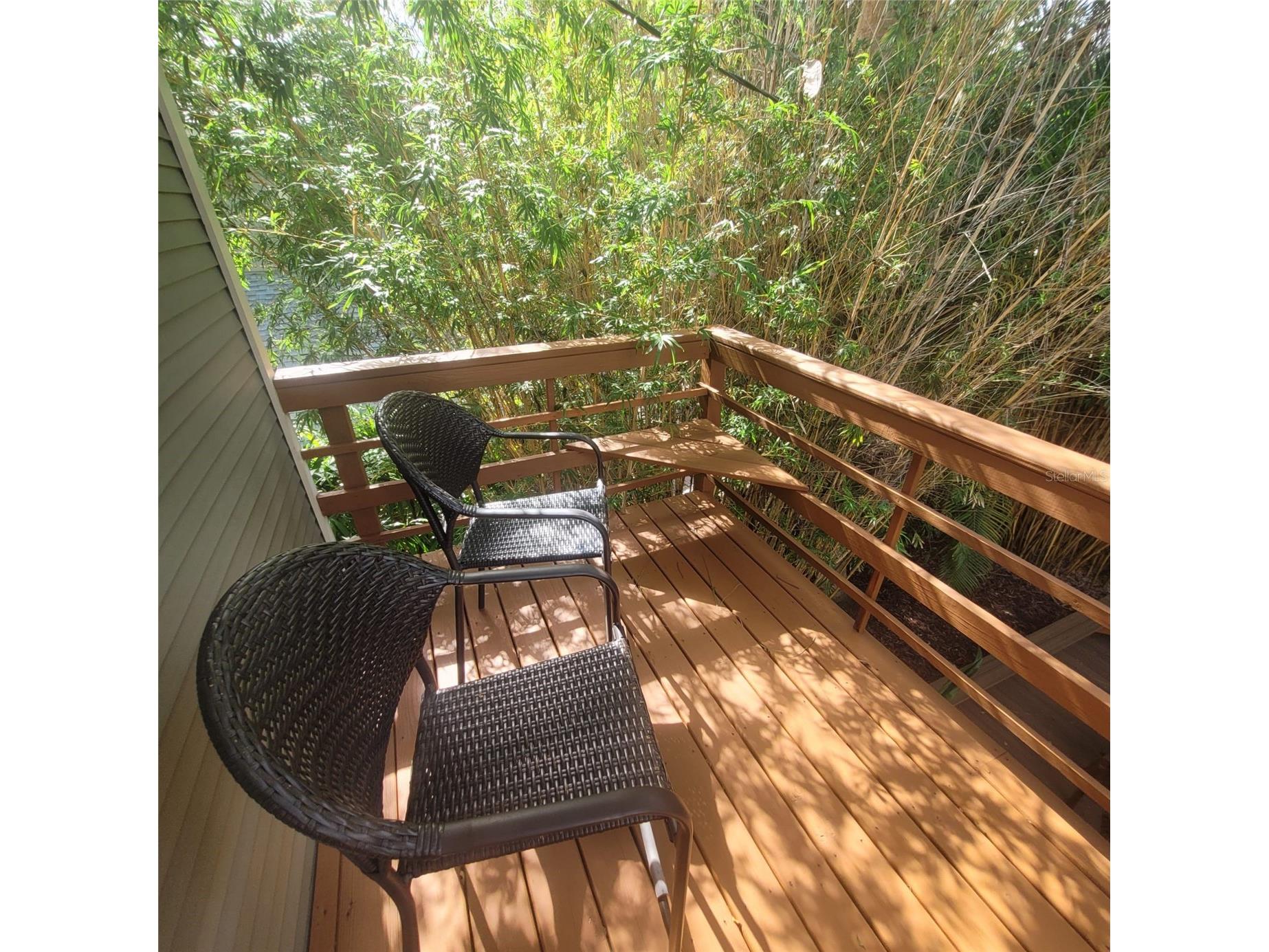2916 W Bay Court Avenue Tampa FL 33611 TB8518953 image34