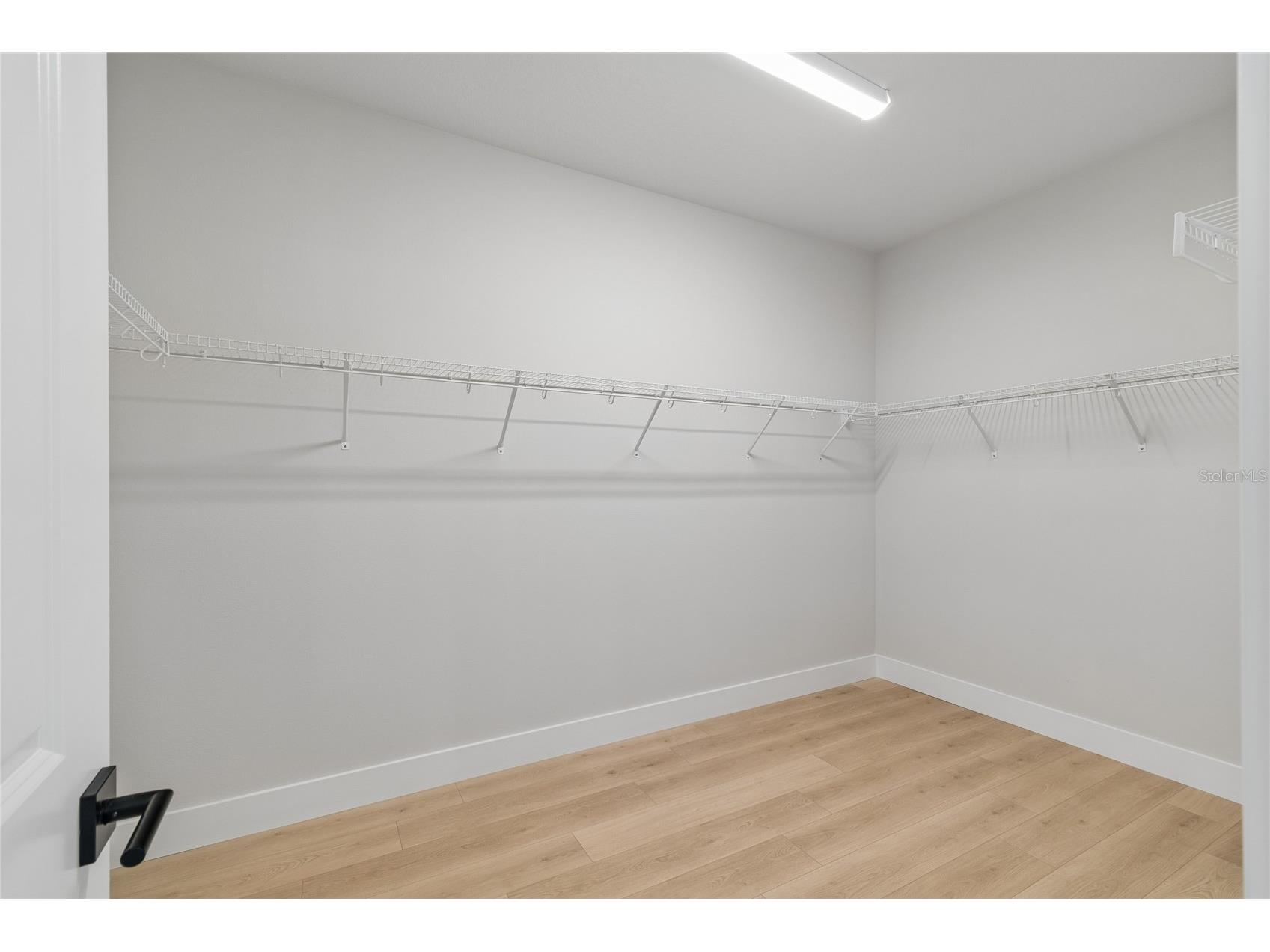 2916 W Ellis Drive Tampa FL 33611 TB8486037 image28