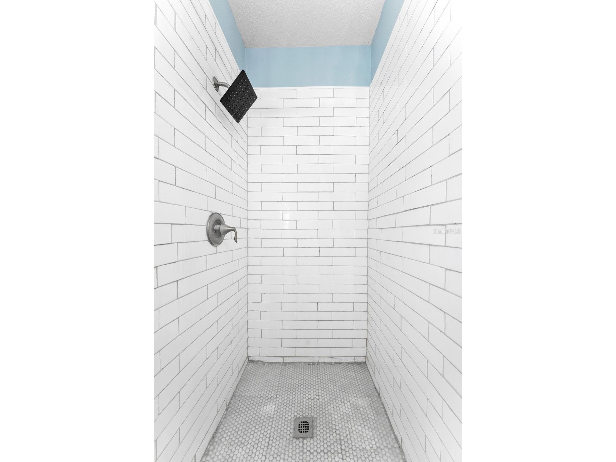 2916 Winglewood Circle Lutz FL 33558 TB8503322 image23
