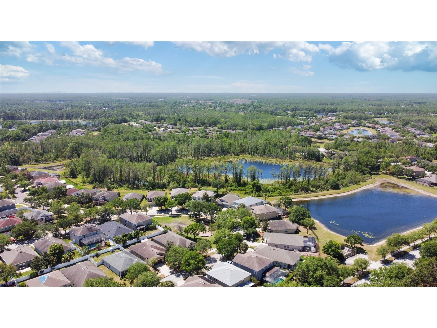 2916 Winglewood Circle Lutz FL 33558 TB8503322 image48