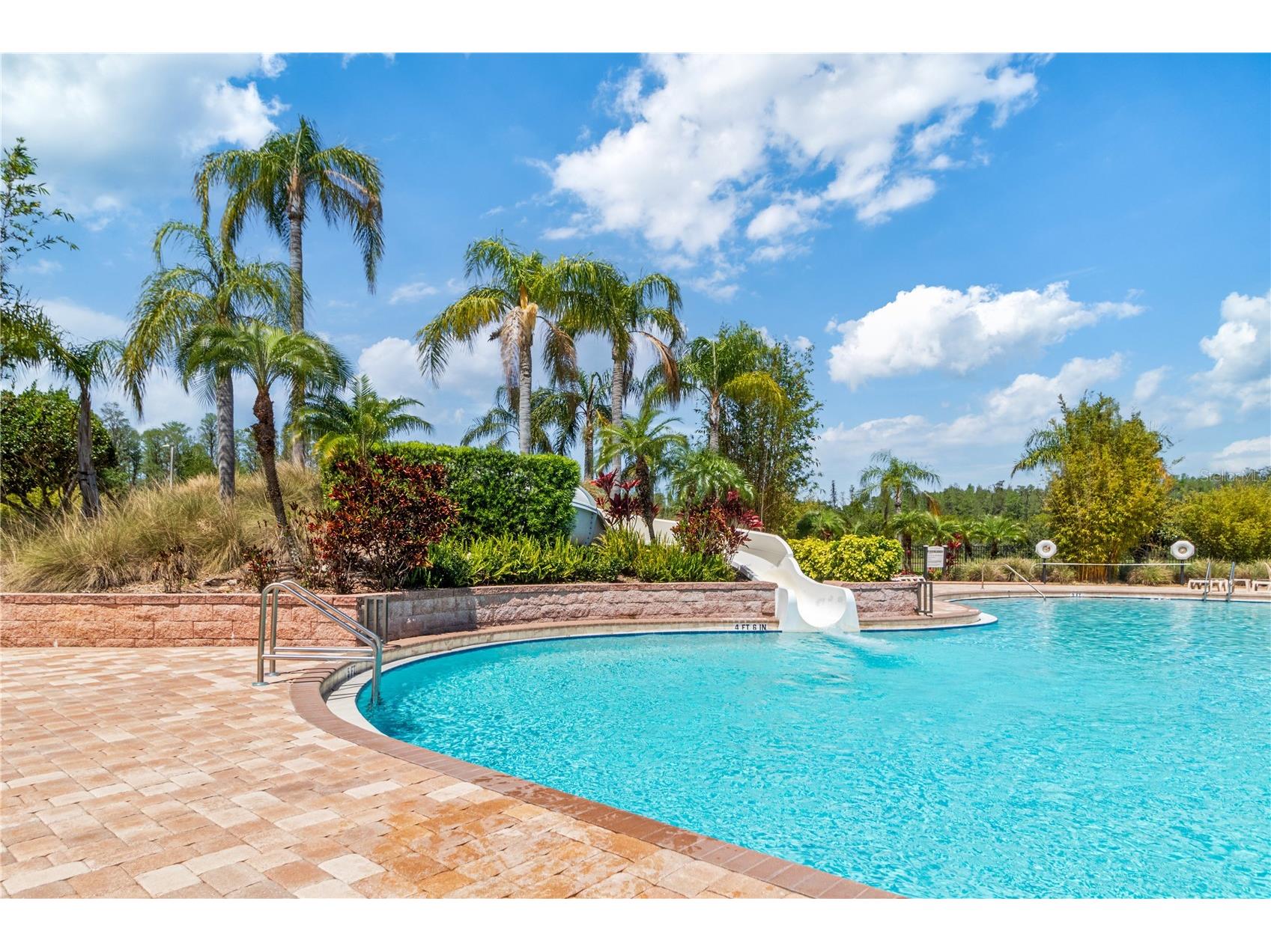 2916 Winglewood Circle Lutz FL 33558 TB8503322 image56