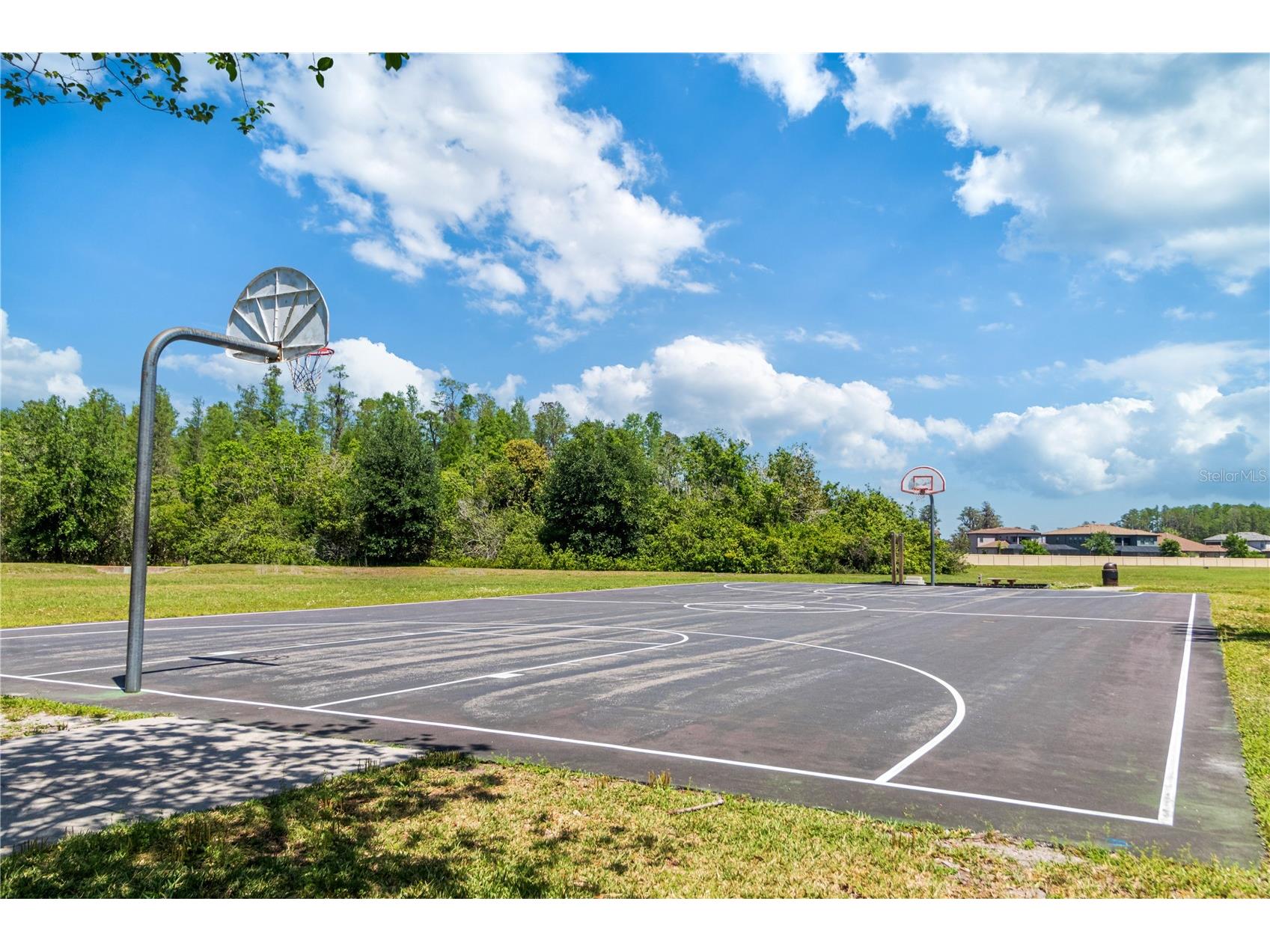 2916 Winglewood Circle Lutz FL 33558 TB8503322 image57
