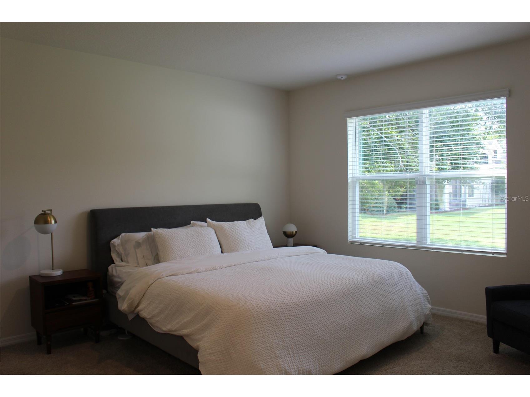 2917 Canary Lane Tavares FL 32778 G5109047 image19