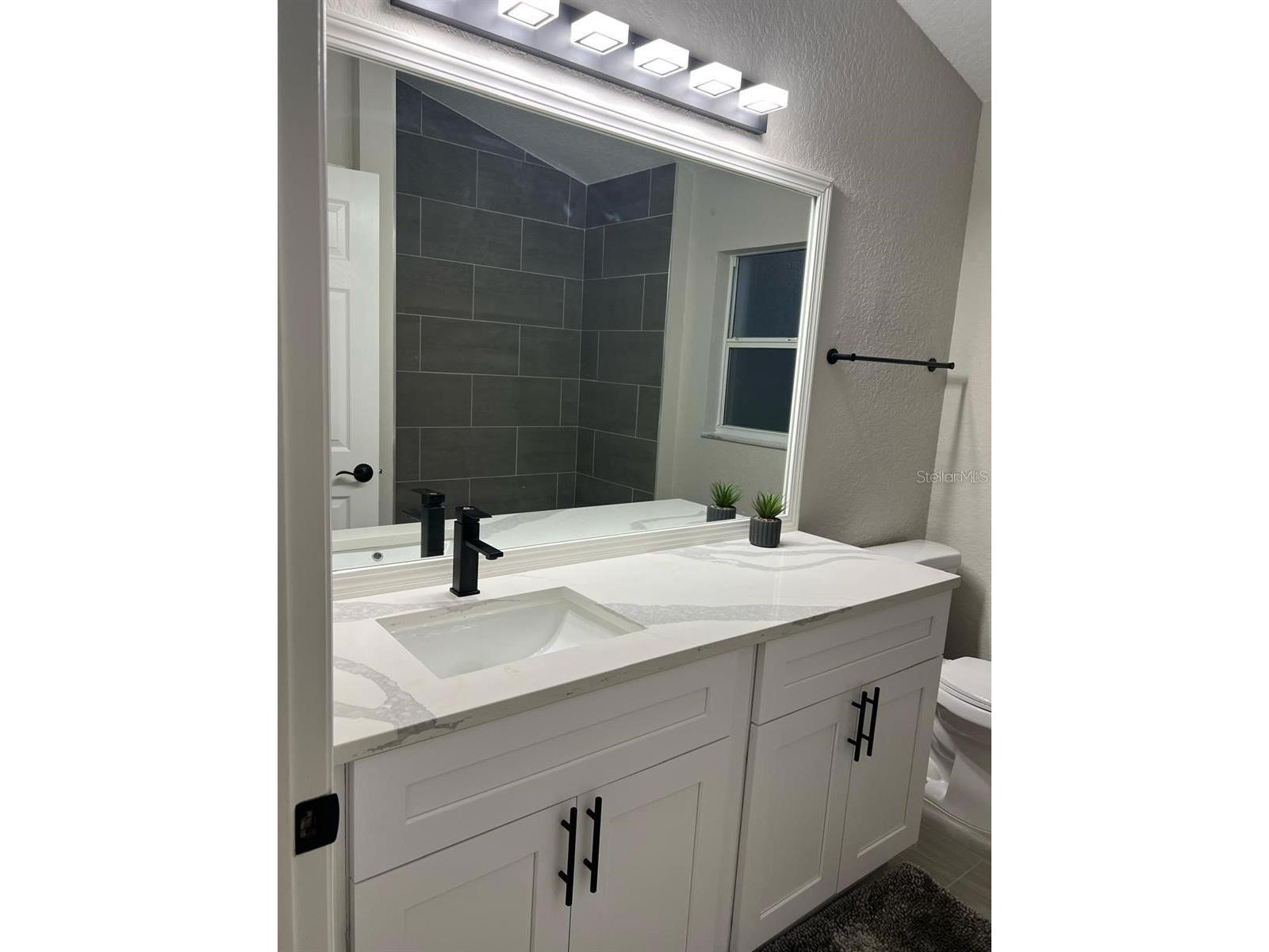 2917 Conner Lane Kissimmee FL 34741 S5142617 image7