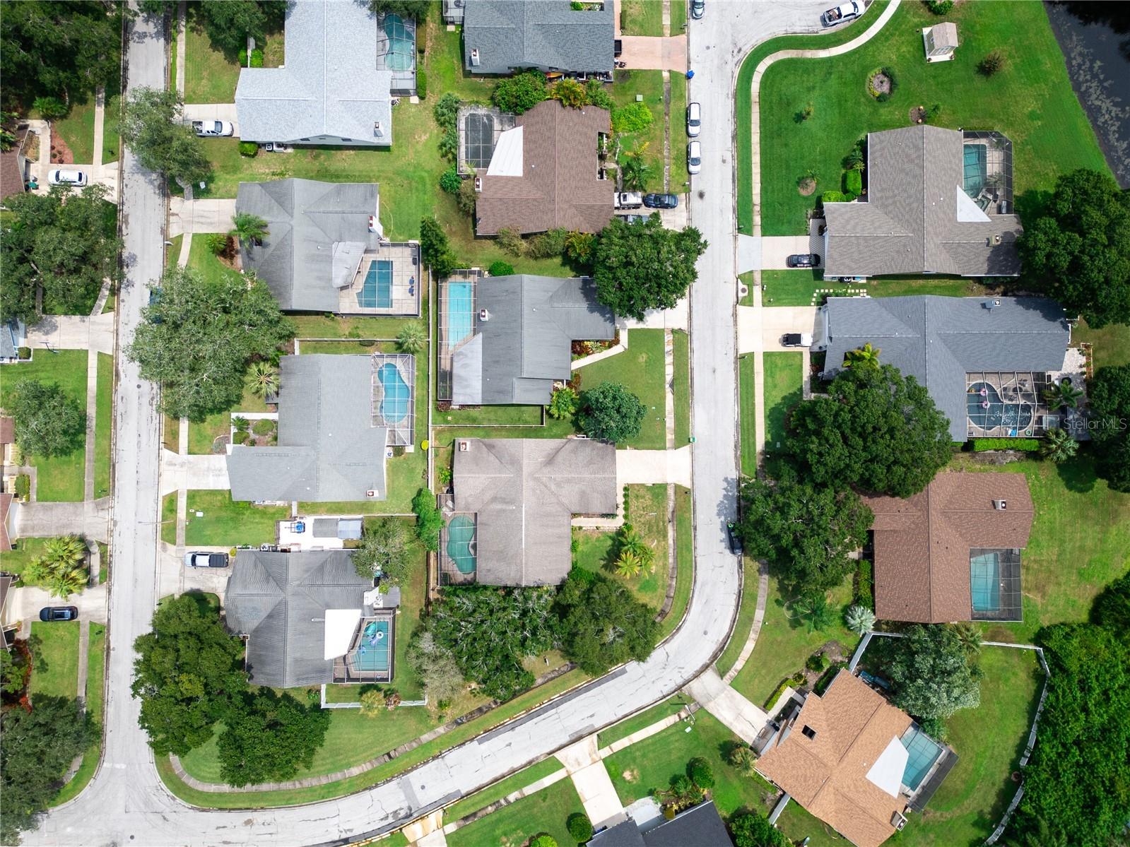 2917 Cypress Ridge Palm Harbor FL 34684 TB8465824 image37