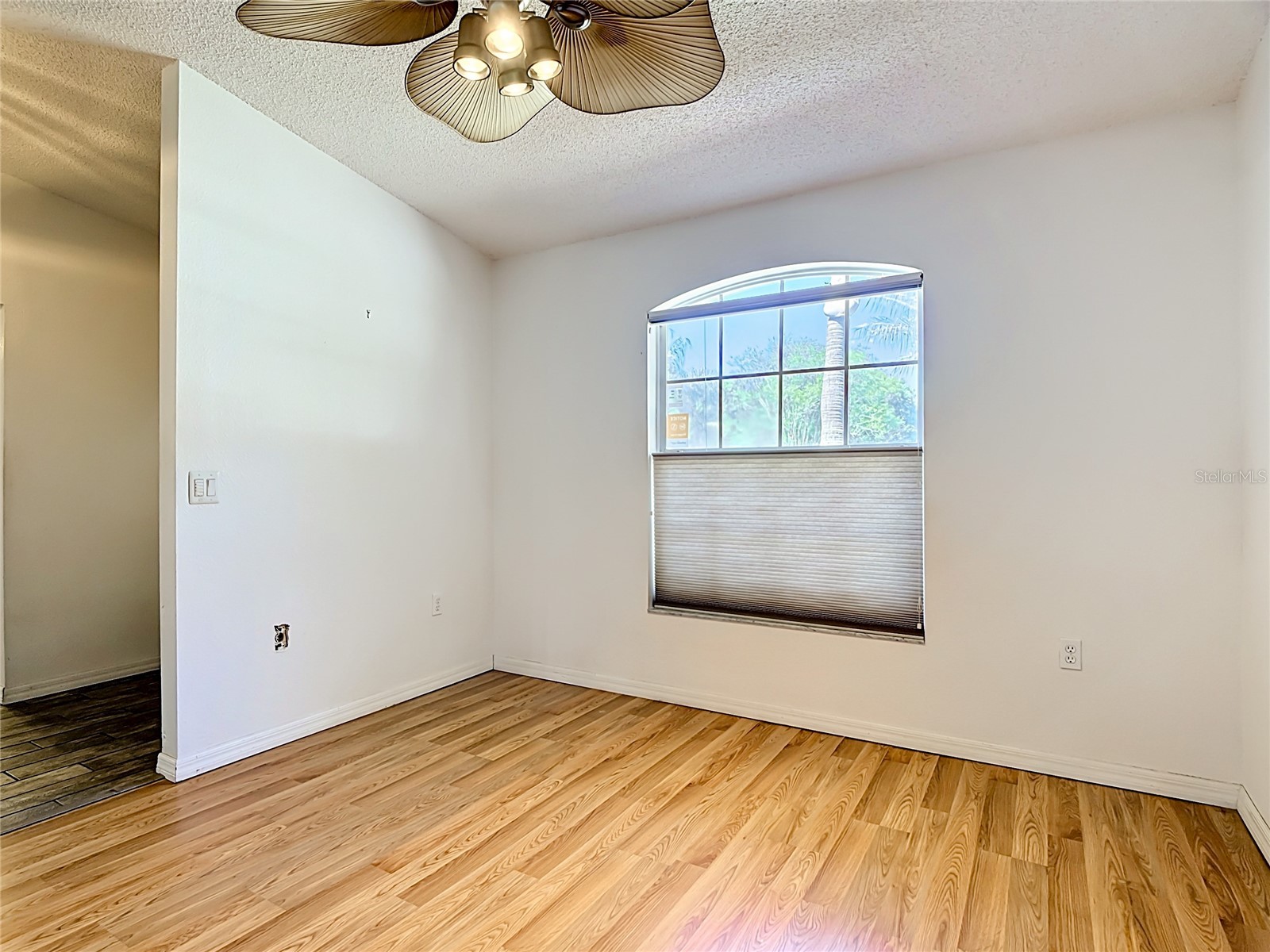 2917 Evans Way Kissimmee FL 34758 O6406291 image7