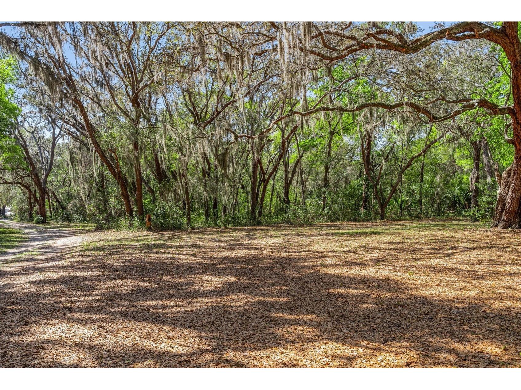 2917 Lake Griffin Road Lady Lake FL 32159 G5109377 image5