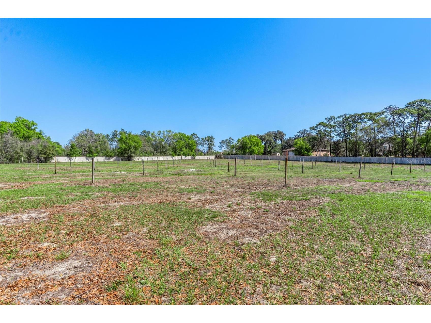 2917 Lake Griffin Road Lady Lake FL 32159 G5109377 image51