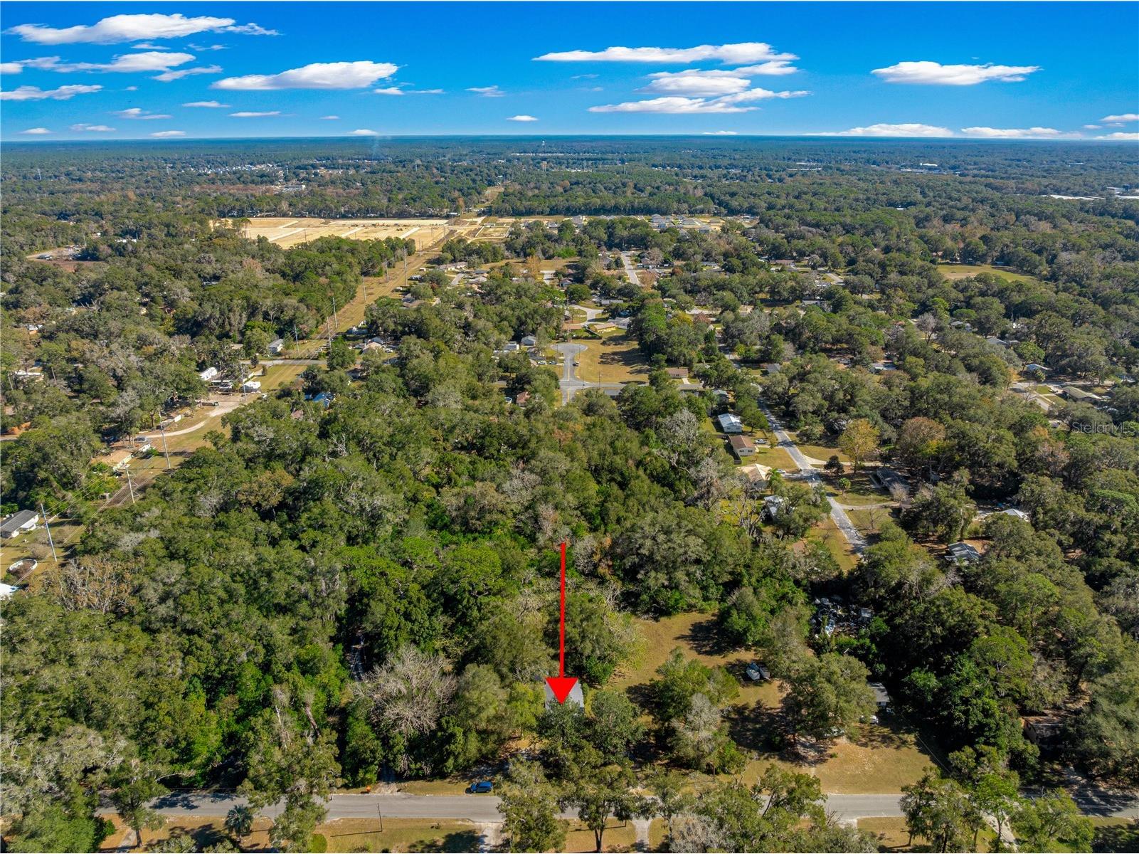 2917 NE 14th Avenue Ocala FL 34479 OM716439 image15