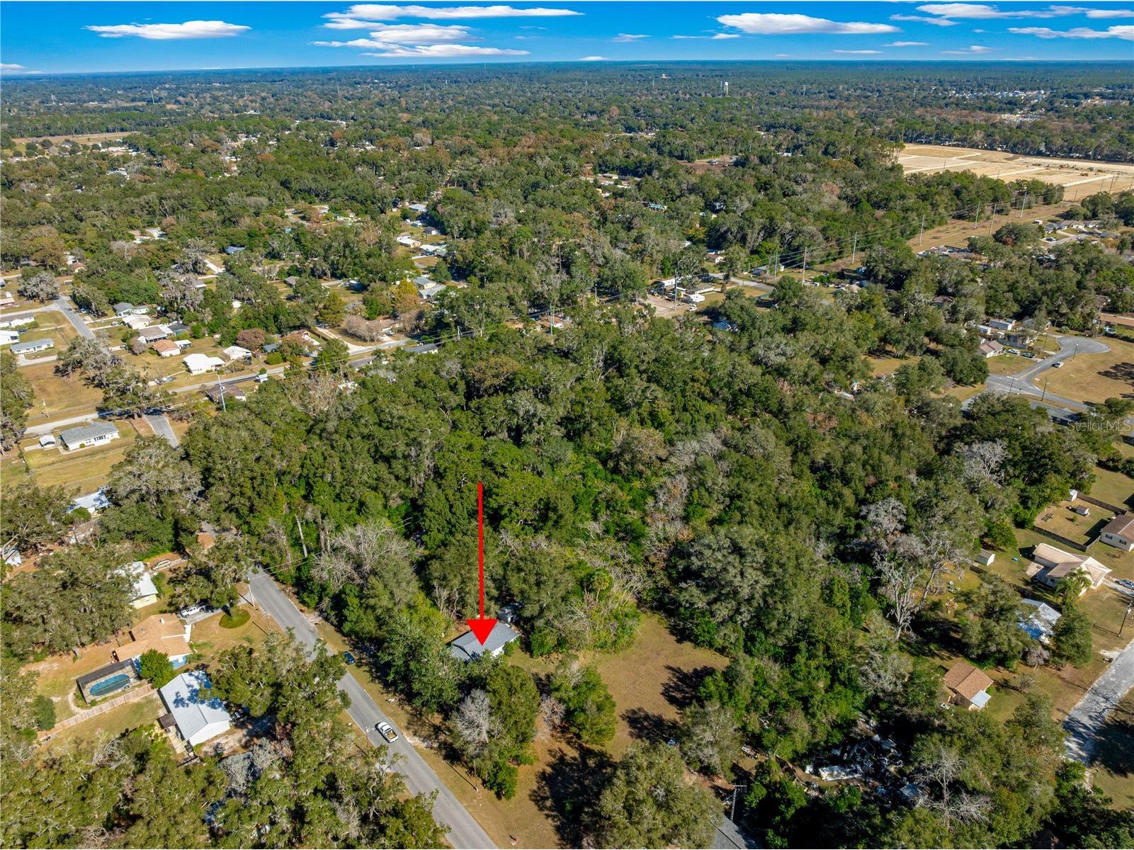 2917 NE 14th Avenue Ocala FL 34479 OM716439 image16