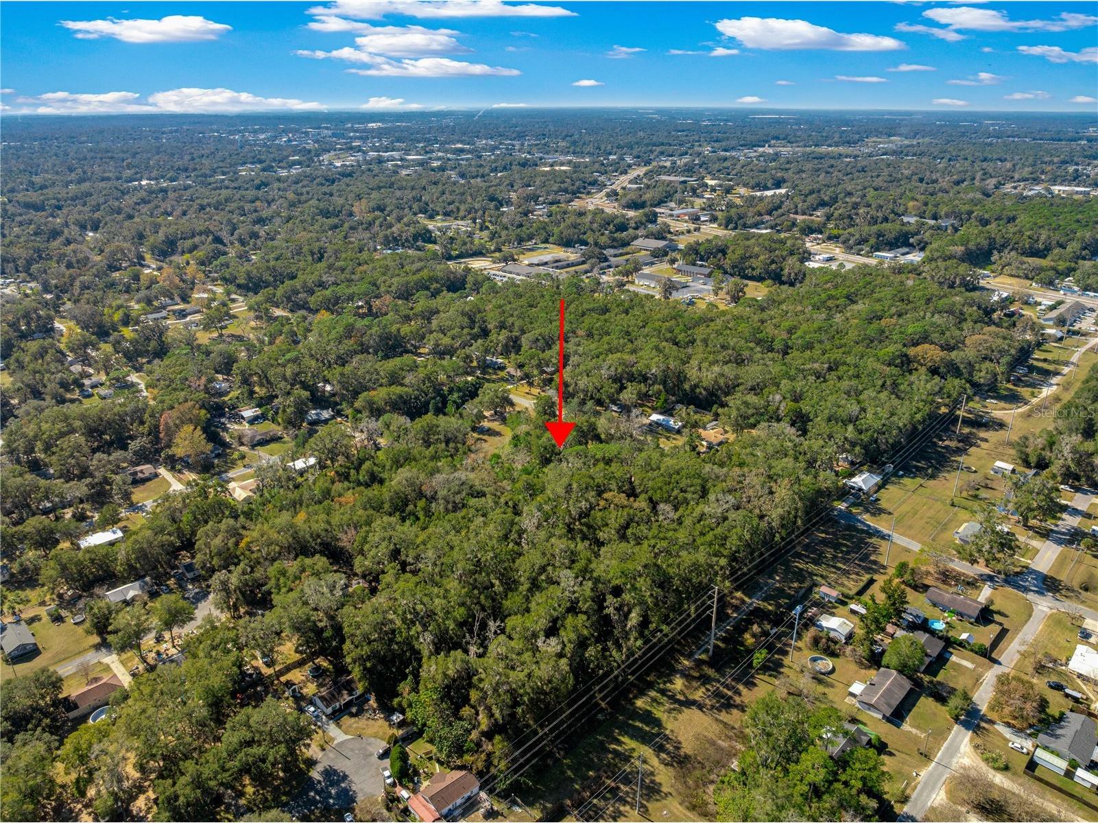 2917 NE 14th Avenue Ocala FL 34479 OM716439 image18