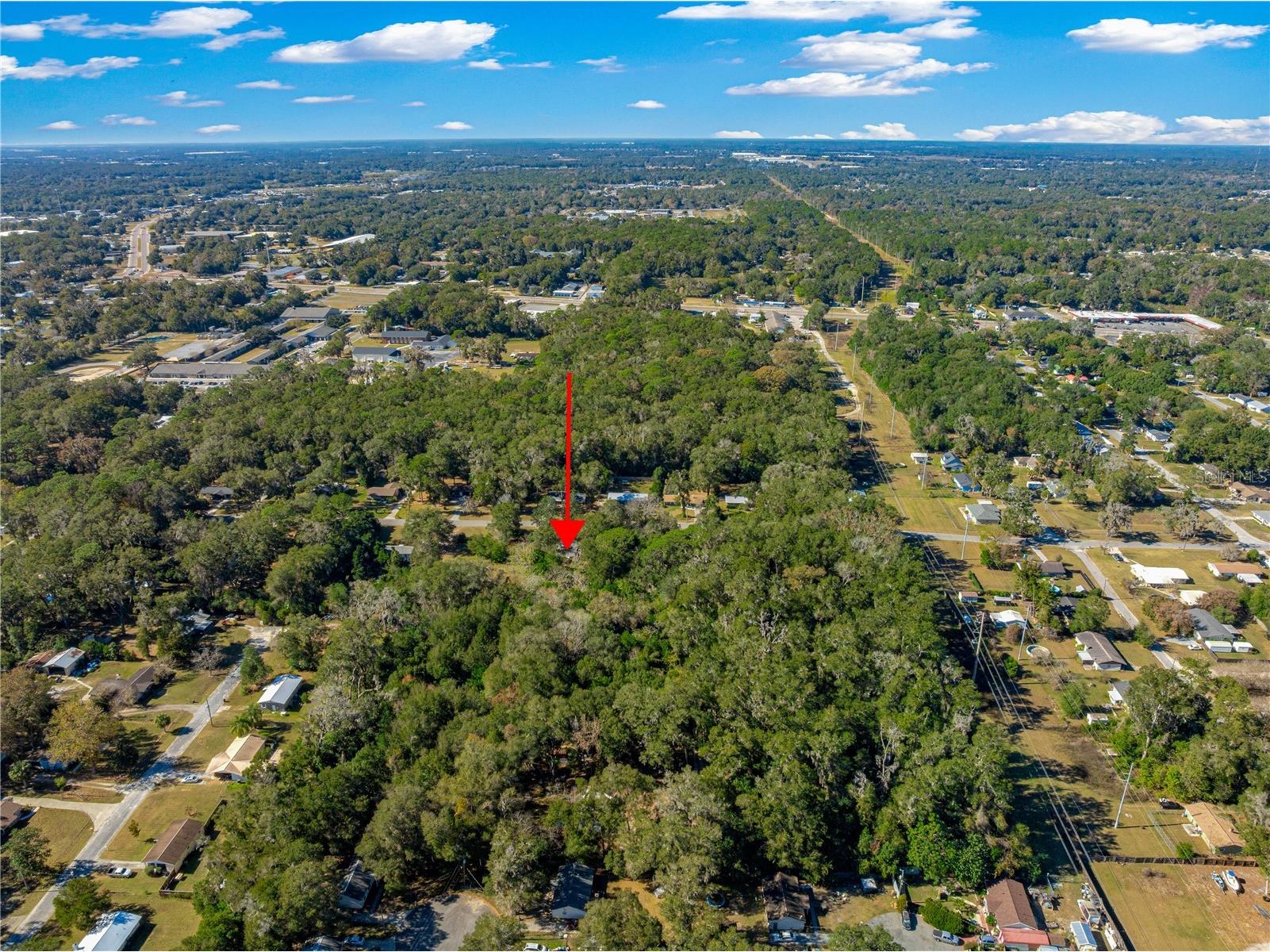 2917 NE 14th Avenue Ocala FL 34479 OM716439 image19