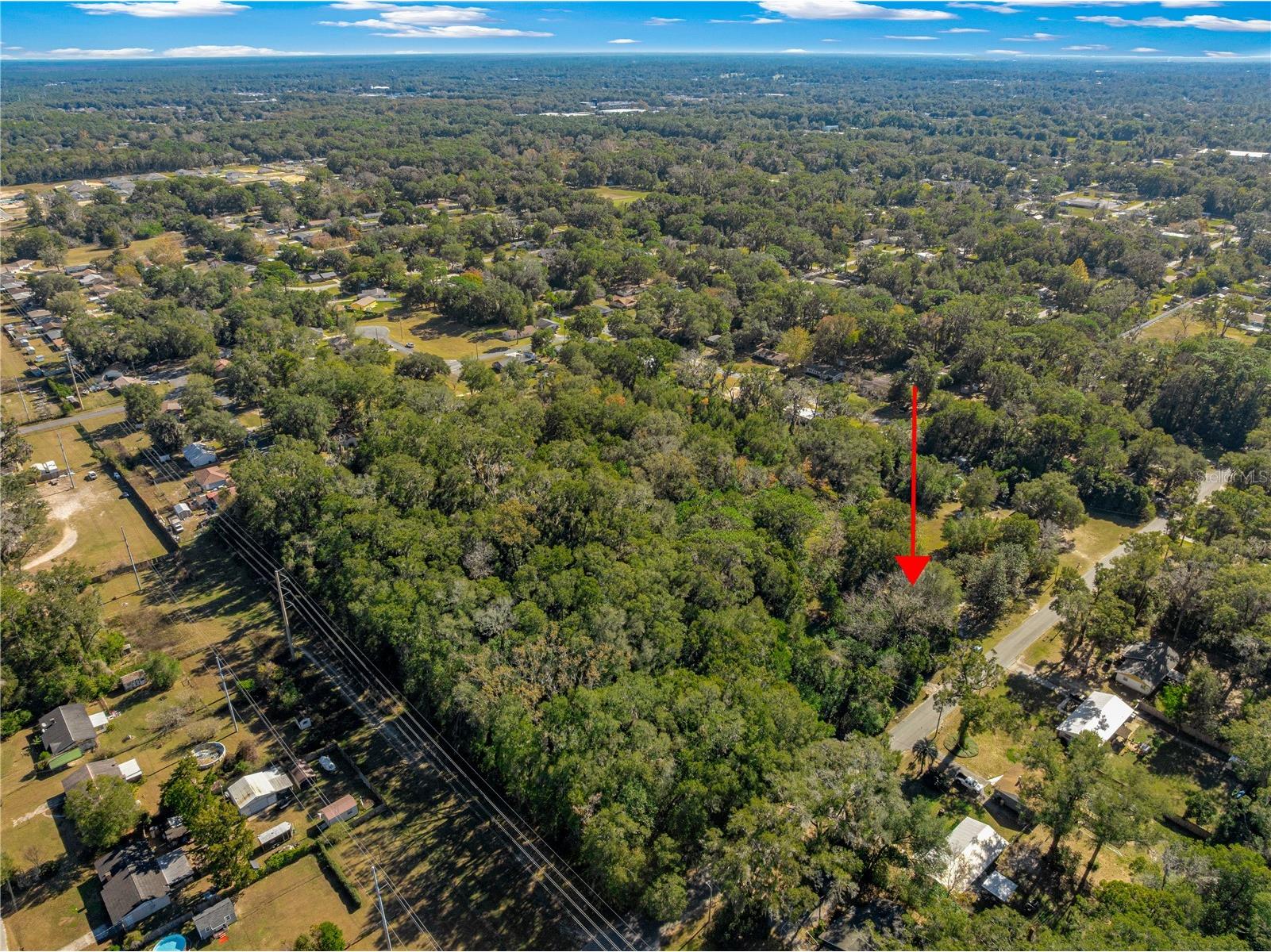 2917 NE 14th Avenue Ocala FL 34479 OM716439 image20