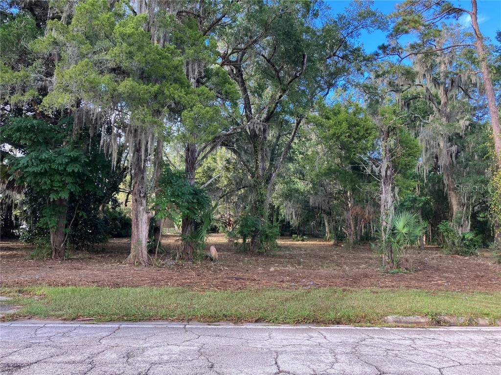 2917 NE 3rd Street Ocala FL 34470 OM710781 image6