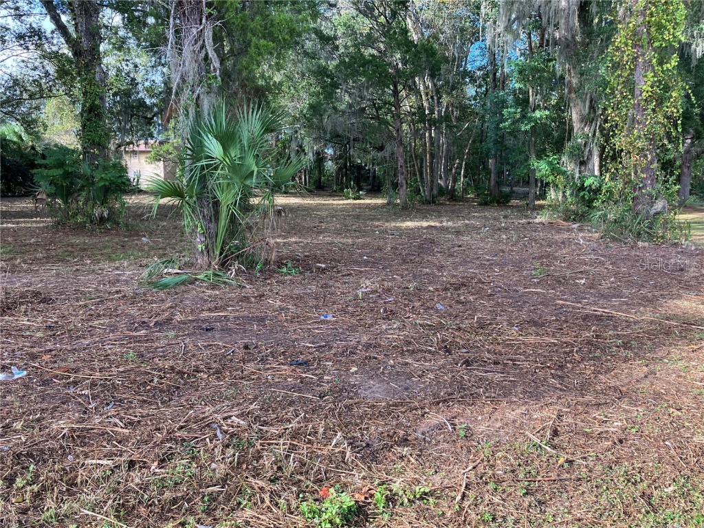 2917 NE 3rd Street Ocala FL 34470 OM710781 image7