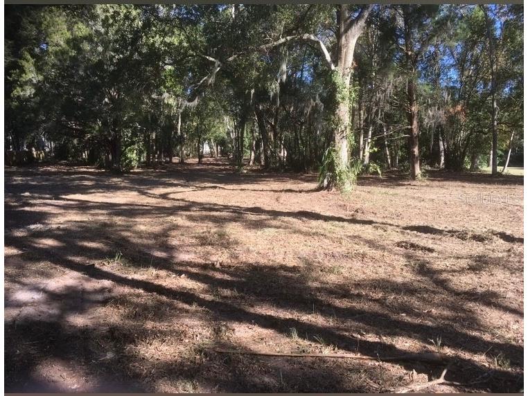 2917 NE 3rd Street Ocala FL 34470 OM710781 image8
