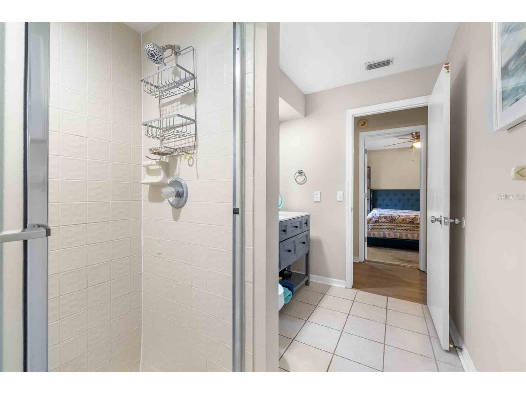 2917 Starmount Drive Valrico FL 33596 TB8461749 image27