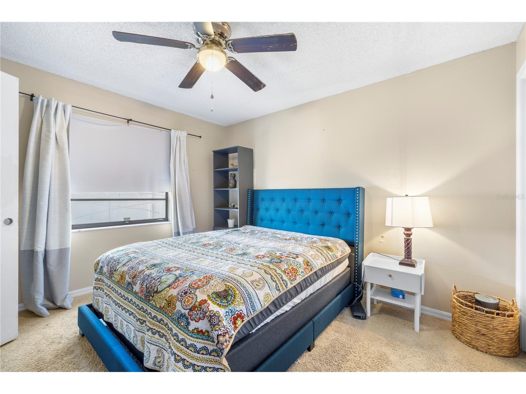 2917 Starmount Drive Valrico FL 33596 TB8461749 image30