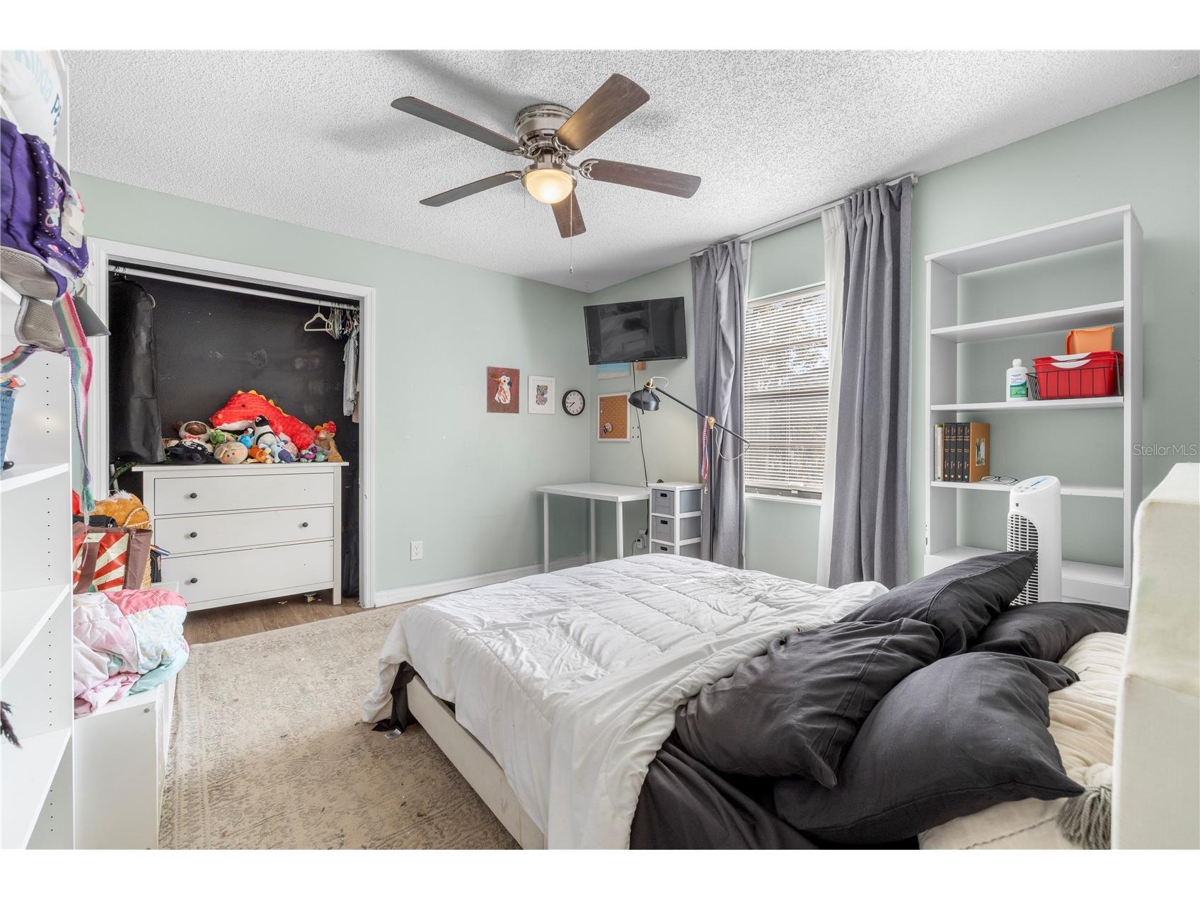 2917 Starmount Drive Valrico FL 33596 TB8461749 image31